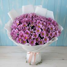 Букет цветов из:  Хризантемы в Болхове