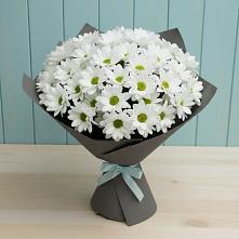Букет цветов из:  Хризантемы в Болхове